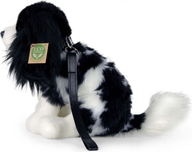 Повод за игри на разходки