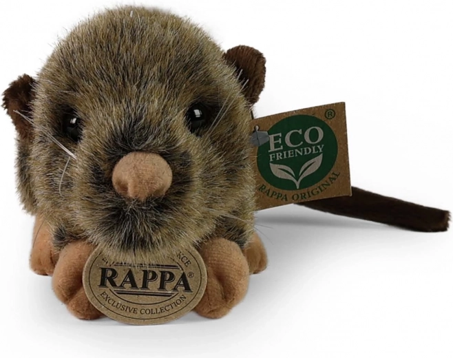 Безопасно още от раждането