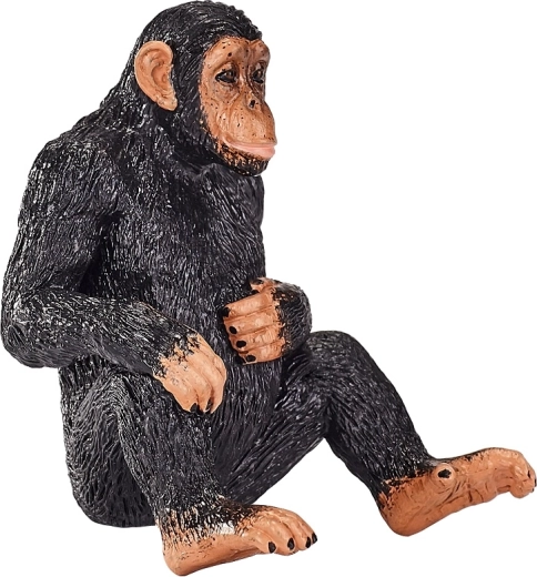 Образователна стойност