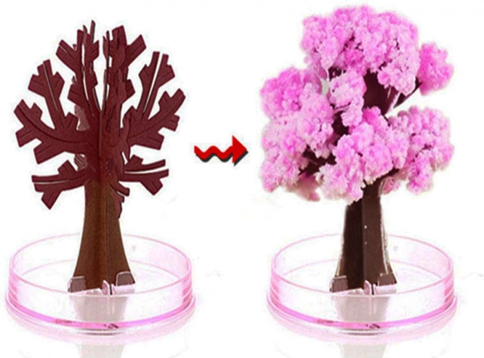 Мигновена магия на цъфтежа