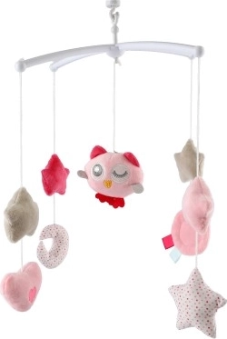 Лесен монтаж към кошарата