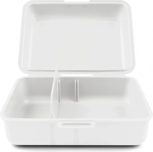 Лесна организация