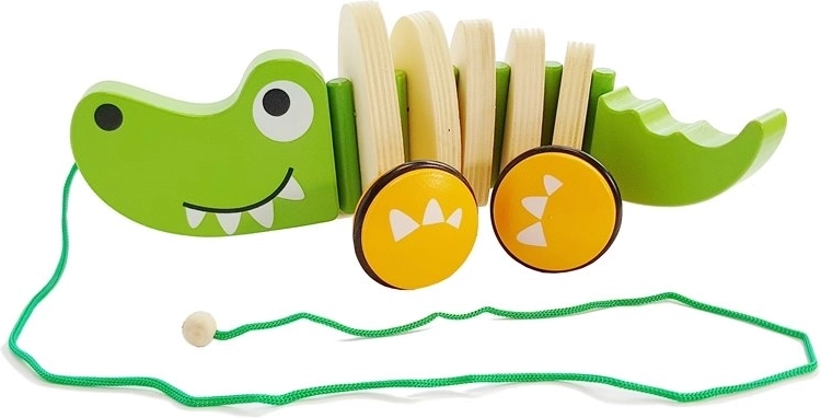 Подкрепа за координацията и първите стъпки