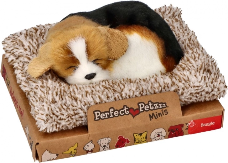 Компактна и подаръчна опаковка