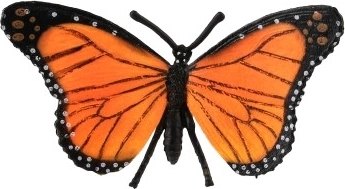 Реалистични цветове и рисунък на крилата