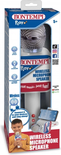 Вграден високоговорител и ехо ефект