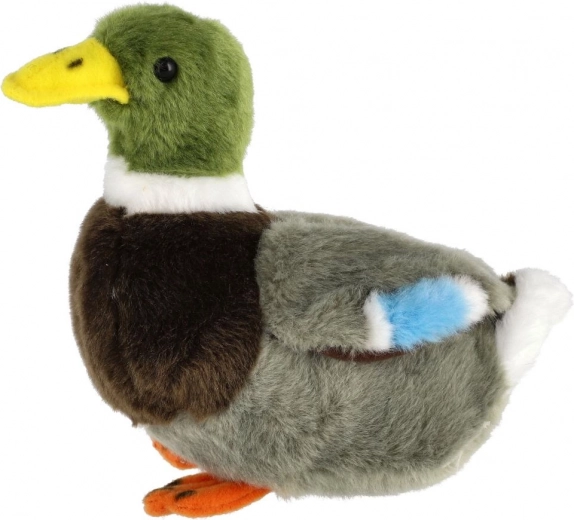 Меко и безопасно от първия ден