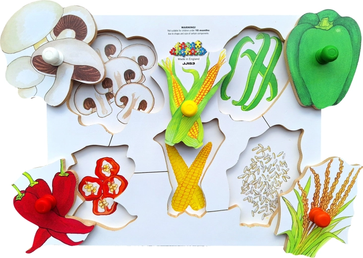 Colorful and educational design