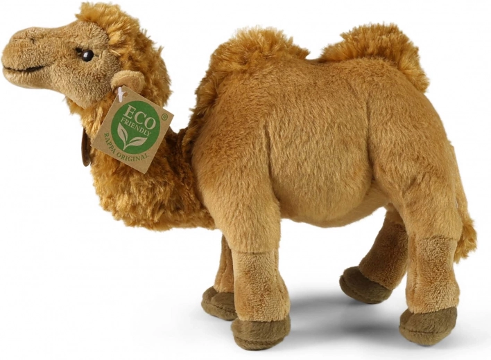 Безопасно от раждането