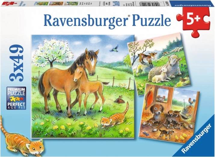 Three puzzles in one box