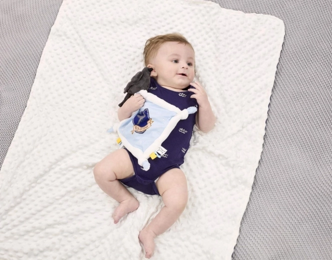 Гербът на Рейвънклоу за малки фенове