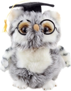 Символ на мъдростта