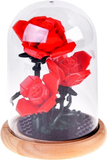 Стабилен купол с дървена основа