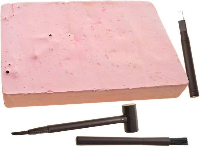 Откривайте скелети като истински палеонтолог