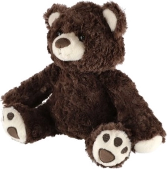 Идеален Спътник