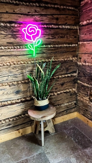Perfect decor for modern interiors