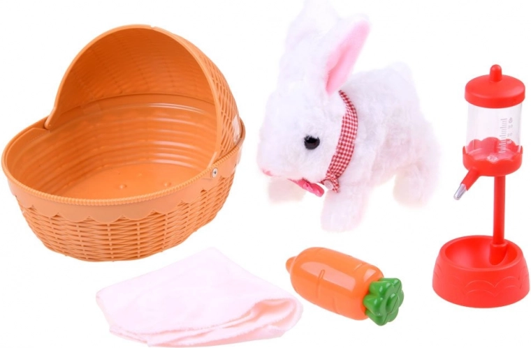 Всичко за грижата за любимеца в един комплект