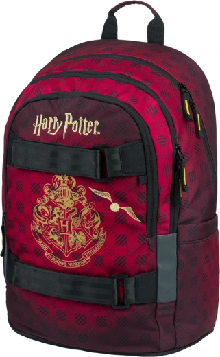 Lightweight backpack with ergonomic back panel and 3 compartments