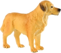 Compact 10 cm size