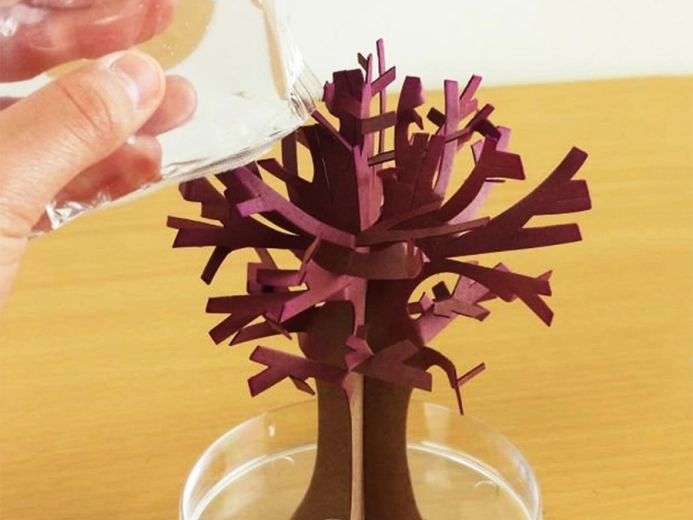 Лесна процедура за деца и възрастни