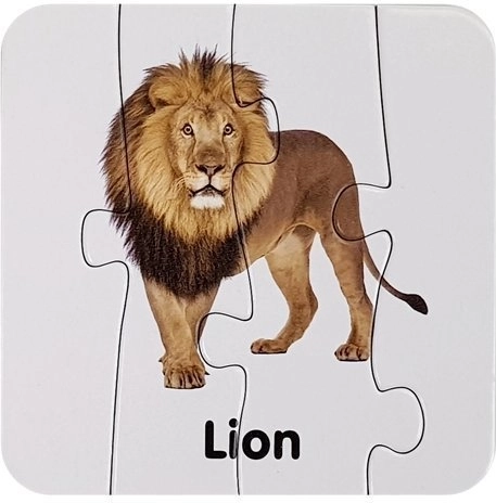 Realistic illustrations of wild animals