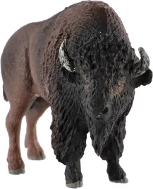 Идеална за колекция и за учене