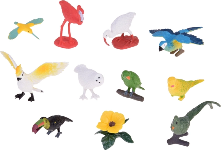 Разнообразен комплект от 10 екзотични птици