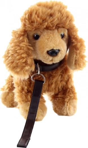 Безопасно и подходящо от 0+