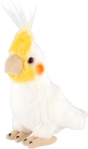 Реалистични детайли на корелата