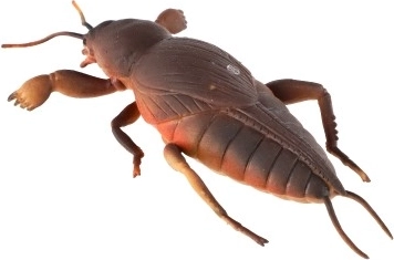 Страхотно за разтоварване за деца и възрастни