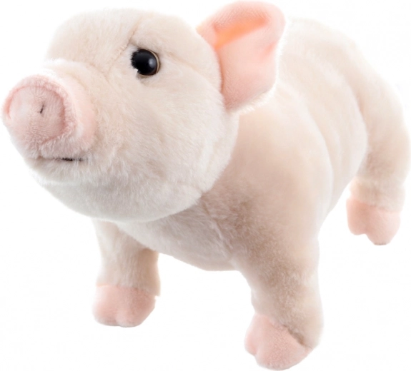 Леко и идеално за път