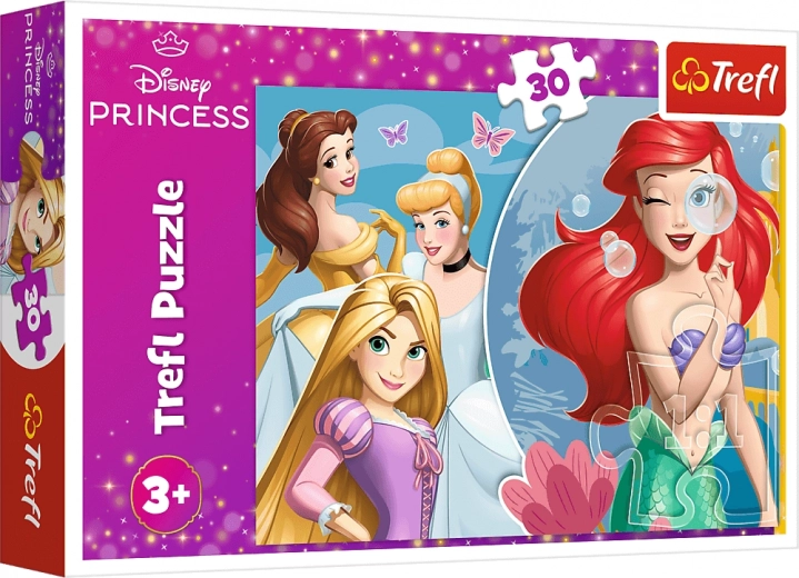 Мотив с принцесите DISNEY PRINCESS