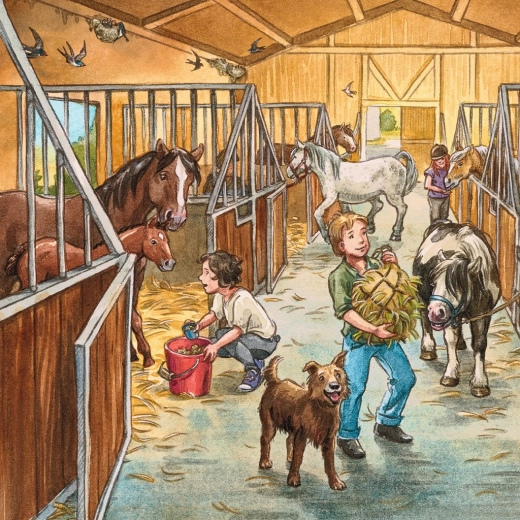 Качество RAVENSBURGER за лесно подреждане