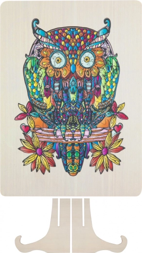 Детайлно илюстрирана сова