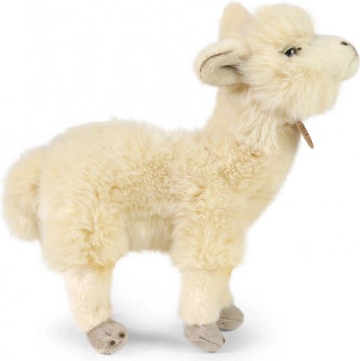 Мек и висококачествен плюш