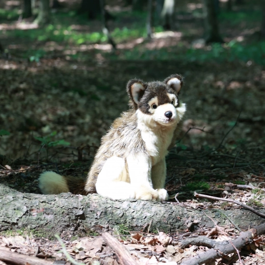 Реалистична визия и ръчна изработка