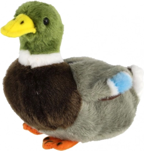 Реалистично оцветяване на дивата патица