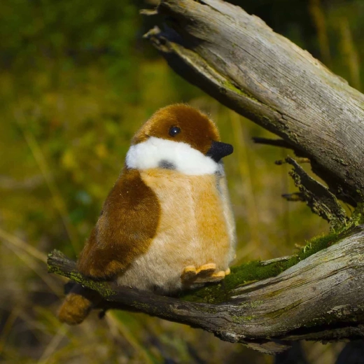 Реалистична визия