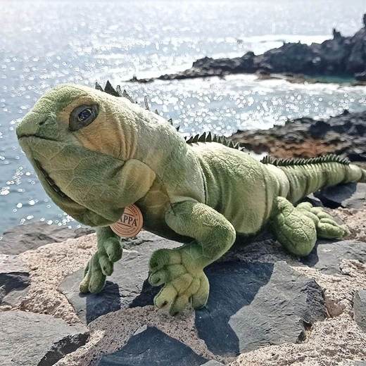 Реалистичен вид