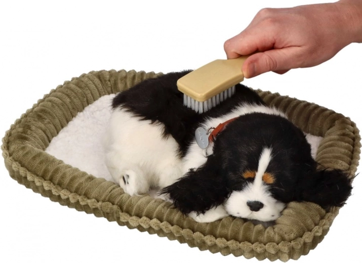 Интерактивно изживяване