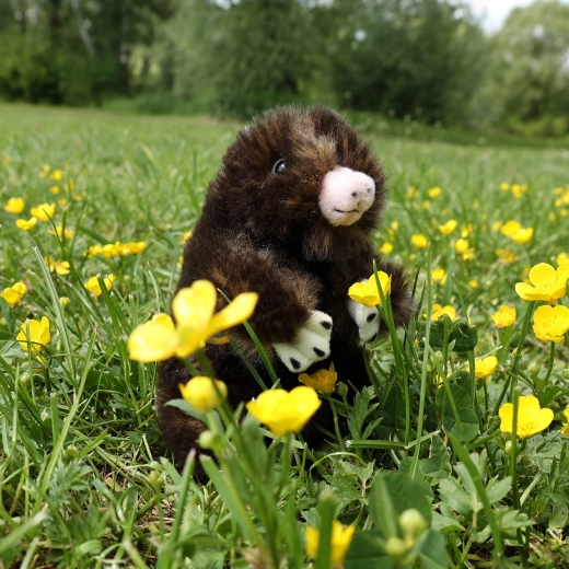 Реалистични детайли и мек плюш