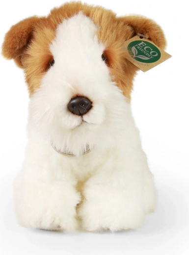 Екологичен избор