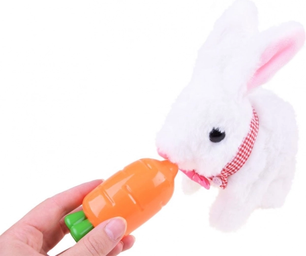 Забавно хранене и учене на отговорност