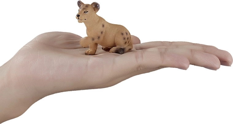 Ideal for learning and collecting