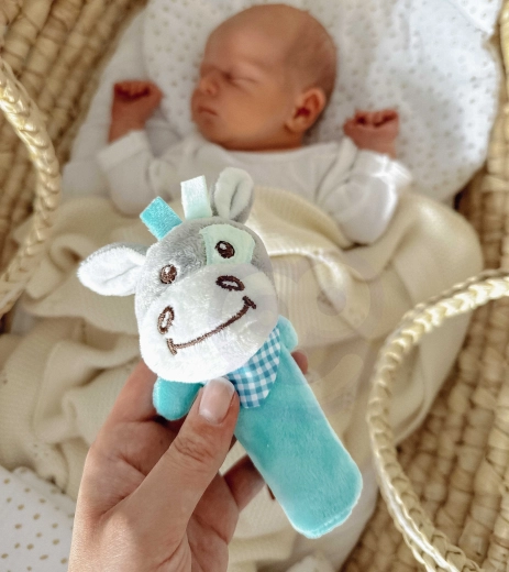 Звукови и тактилни елементи