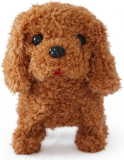Adorable play companion