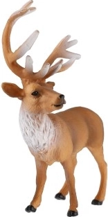 Striking and precisely shaped antlers