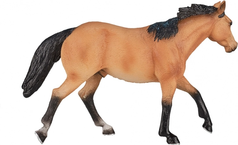 Вярно пресъздаване на породата QUARTER HORSE