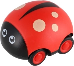 Ladybug Beetle