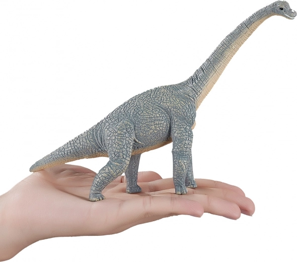 Practical size for play and display